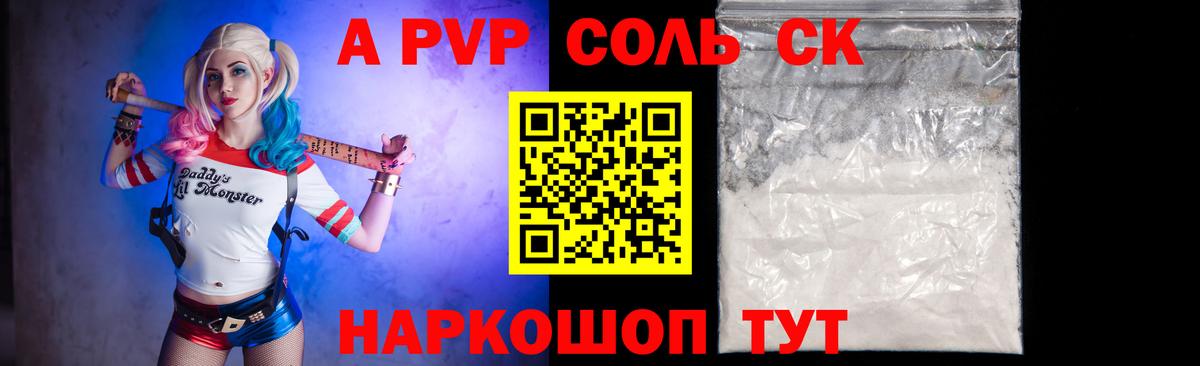 Альфа ПВП СК КРИС Хасавюрт