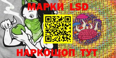прущие крисы Будённовск