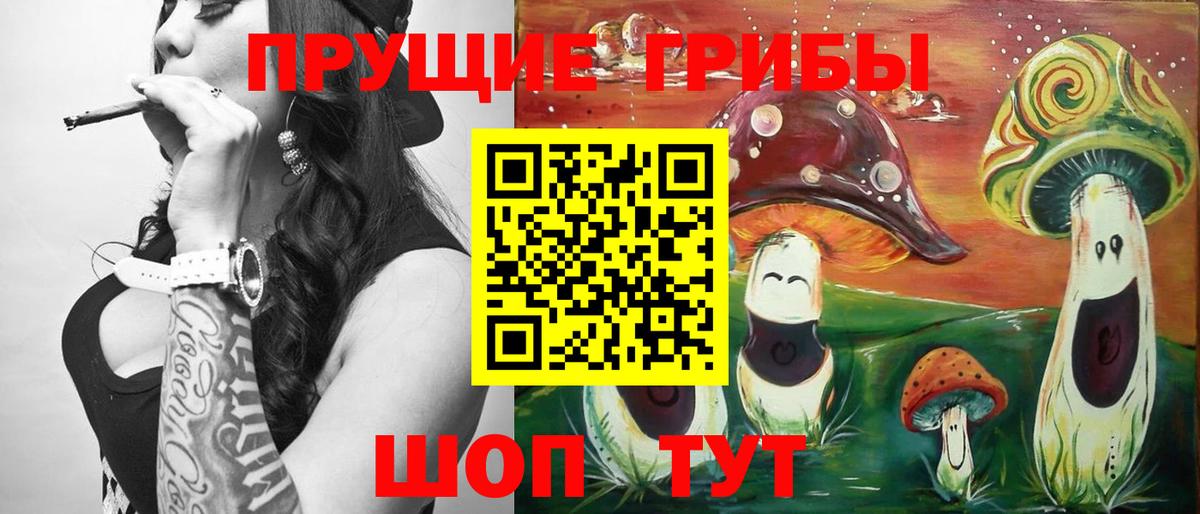 Галлюциногенные грибы Cubensis Хасавюрт