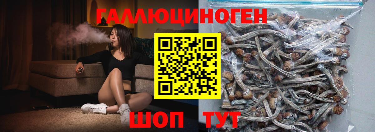 Галлюциногенные грибы Cubensis  Вход с VPN  Хасавюрт  Псилоцибиновые грибы Psilocybe 
